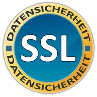 Datensicherheit Icon