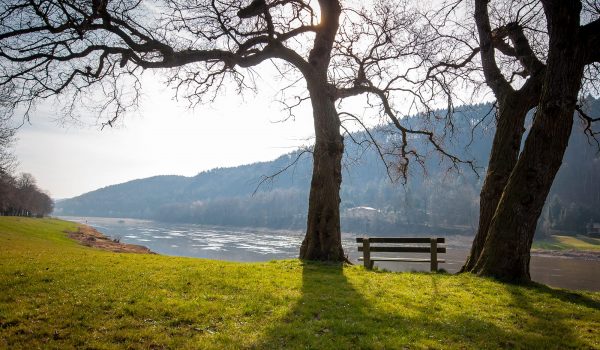 Bank zwischen zwei Bäumen auf grüner Wiese, direkt am Ufer der Elbe mit Blick auf die Elbe und die Berge und Felsen, bei Sonnenschein